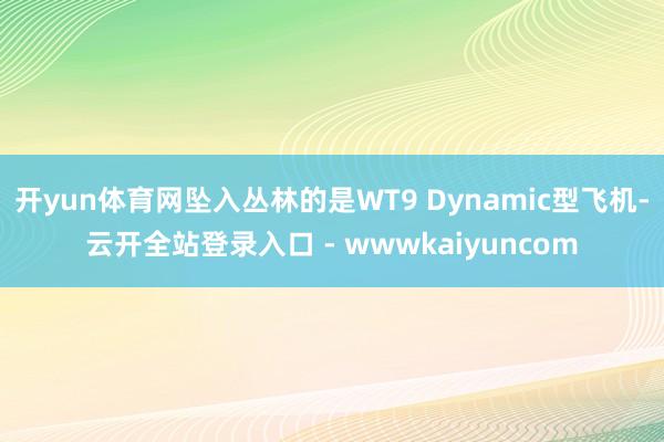 开yun体育网坠入丛林的是WT9 Dynamic型飞机-云开全站登录入口 - wwwkaiyuncom