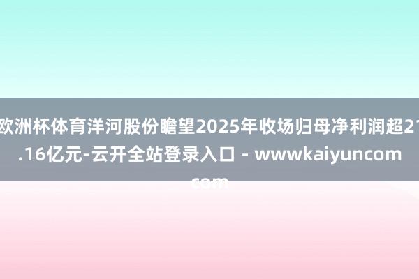 欧洲杯体育洋河股份瞻望2025年收场归母净利润超21.16亿元-云开全站登录入口 - wwwkaiyuncom