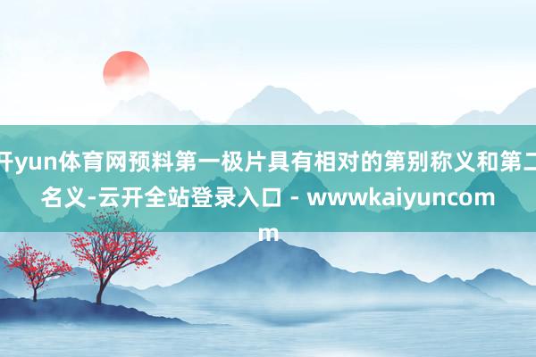 开yun体育网预料第一极片具有相对的第别称义和第二名义-云开全站登录入口 - wwwkaiyuncom