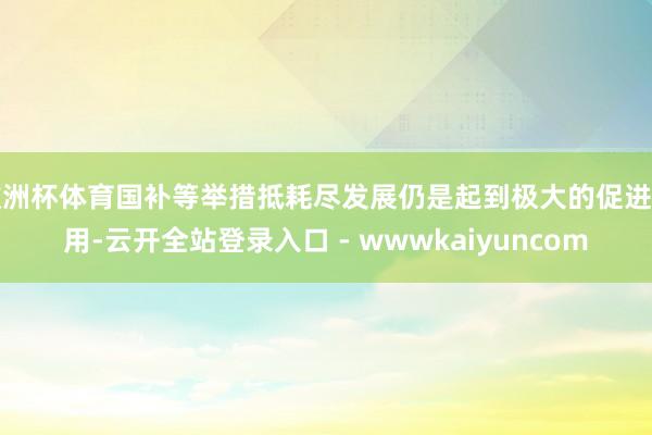 欧洲杯体育国补等举措抵耗尽发展仍是起到极大的促进作用-云开全站登录入口 - wwwkaiyuncom