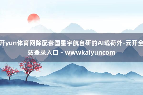 开yun体育网除配套国星宇航自研的AI载荷外-云开全站登录入口 - wwwkaiyuncom