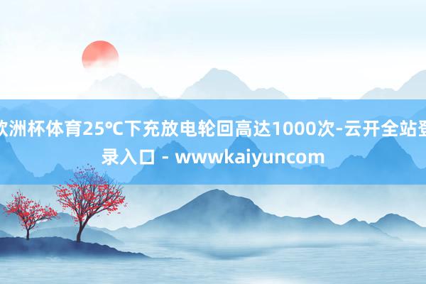 欧洲杯体育25℃下充放电轮回高达1000次-云开全站登录入口 - wwwkaiyuncom